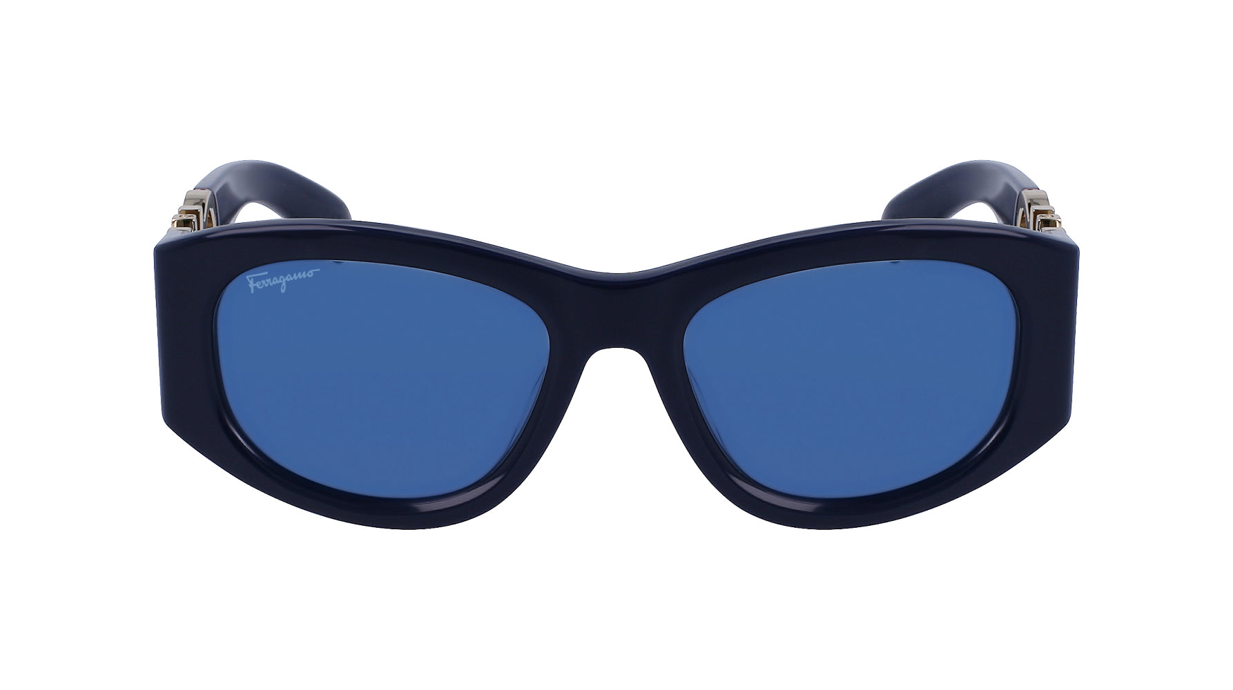Ferragamo SF1082S Sunglasses - Luxury Polarized Aviator Sunglasses for Men & Women - UV Protection & Stylish Design - Perfect for Driving, Travel & Outdoor Activities