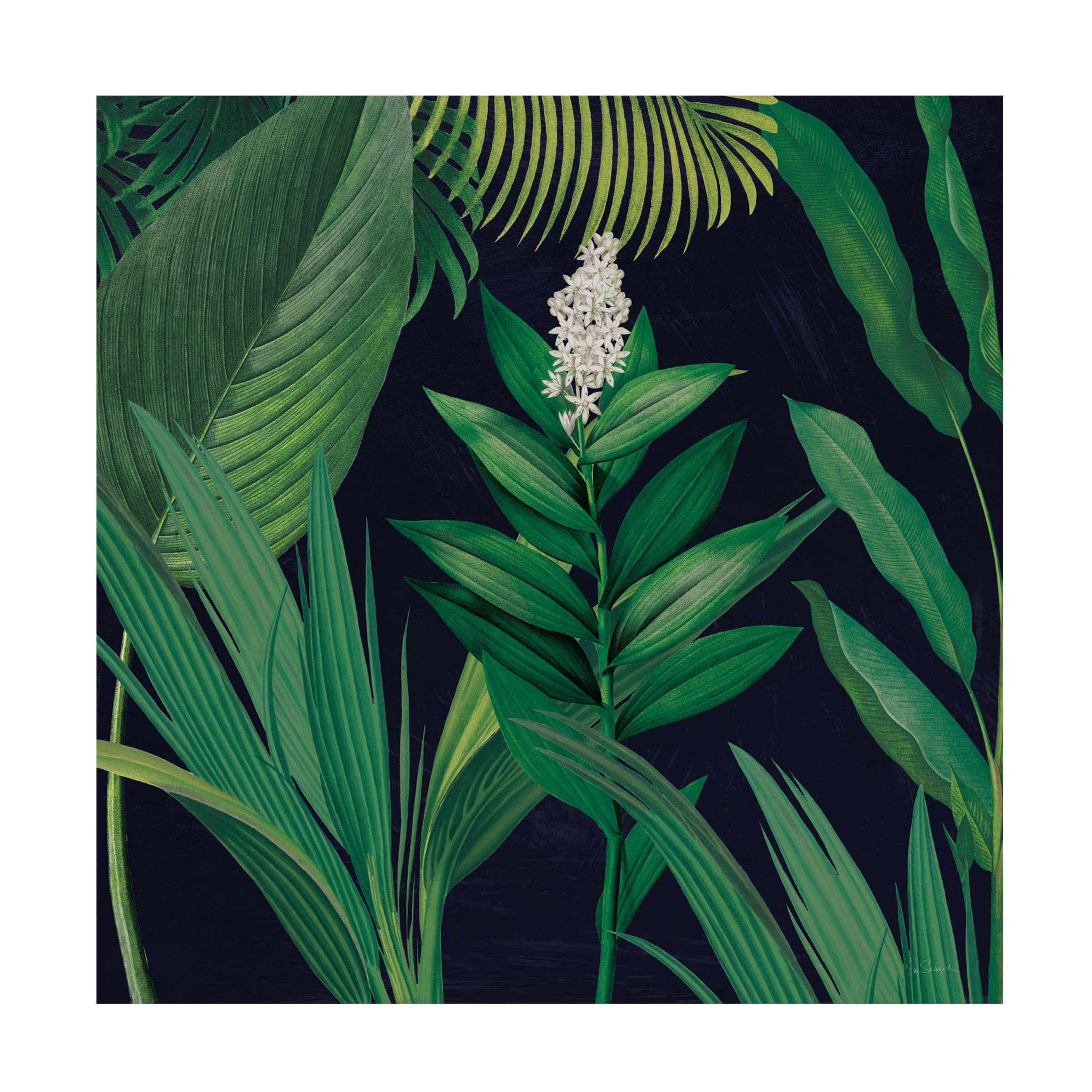 Dramatic Tropical I Canvas Wall Art by Sue Schlabach - Vibrant Tropical Landscape Painting for Living Room, Bedroom & Office Decor
