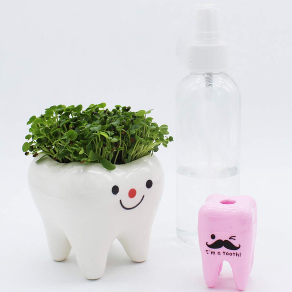 Garneck Ceramic Tooth Planter Pots - Set of 2, Creative Tooth-Shaped Flower Pots for Succulents, Cacti & Small Plants - Unique Home & Office Decor for Desks, Windowsills & Gifts