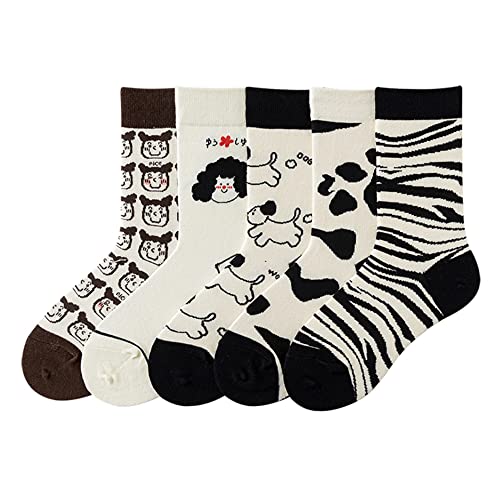 B-5 Pairs