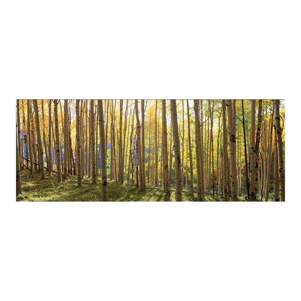 Yosemite Home Decor - Colorado Trees Wall Art for Living Room