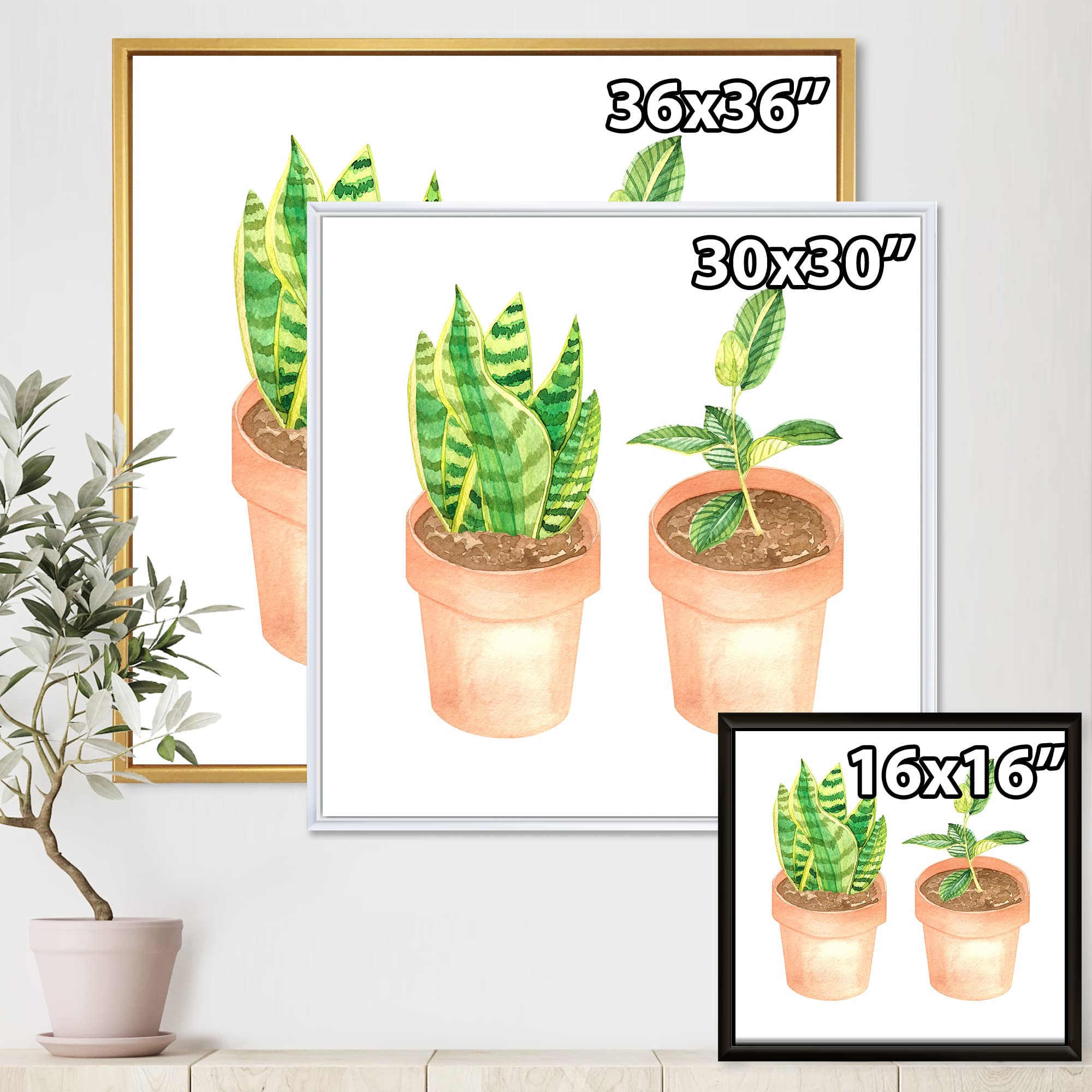 DesignQ Sansevieria & Ficus Indoor Plants - Traditional Framed Canvas Wall Art Print for Home Decor | Perfect for Living Room, Bedroom & Office