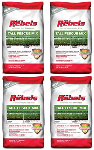 Pennington The Rebels Tall Fescue Grass Seed Mix - 20 lb (4 Bags) | Drought-Resistant Lawn Seed for Sunny Areas | Perfect for Home Lawns, Parks & Sports Fields