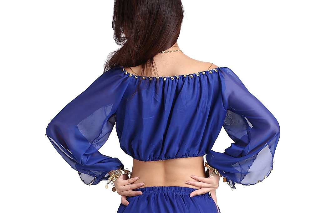 Elegant Long Sleeve Chiffon Belly Dance Top for Women - Perfect for Performances, Practice & Costume Parties