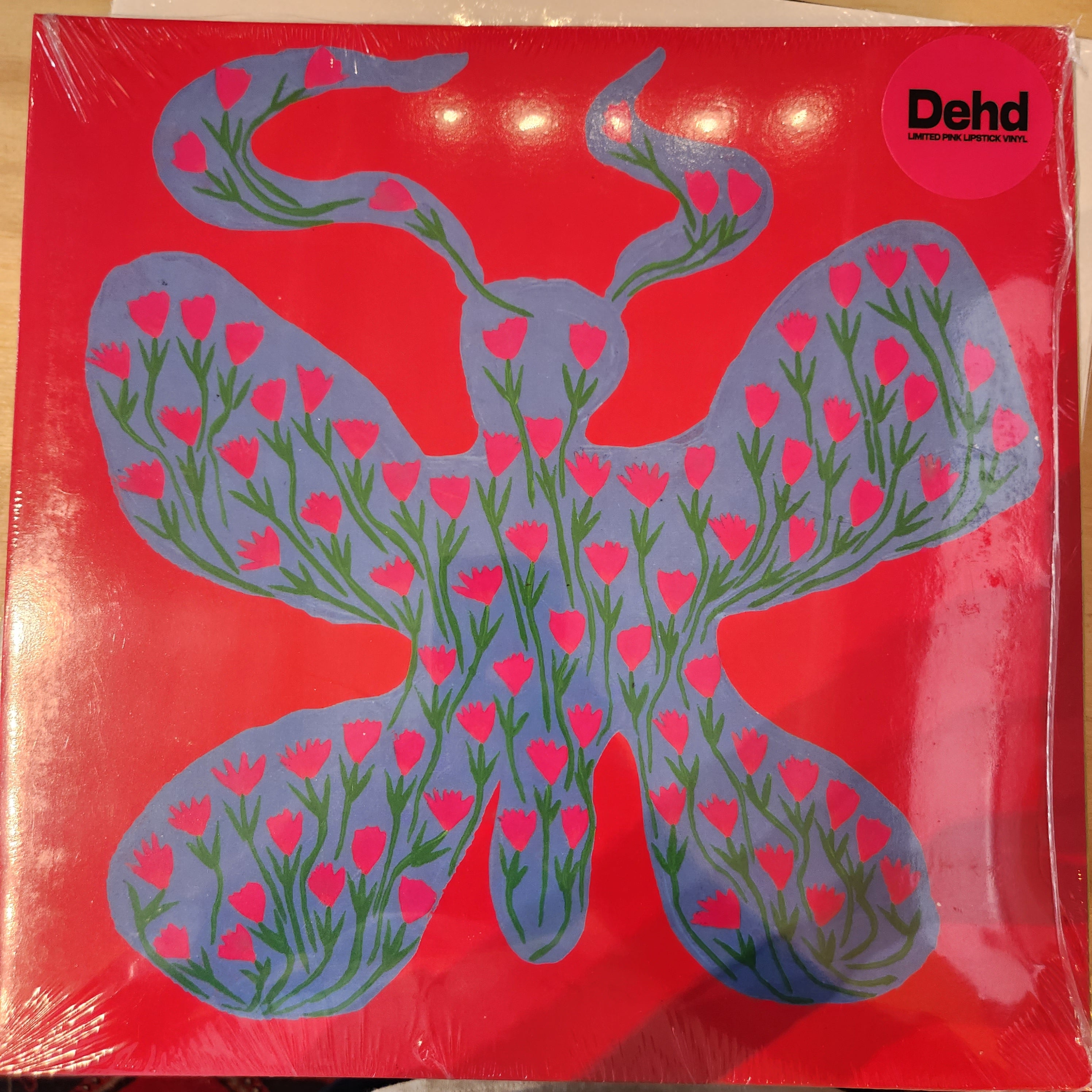 Dehd - Blue Skies Vinyl LP Record | Indie Rock Music Album | Perfect for Home Listening & Record Collectors