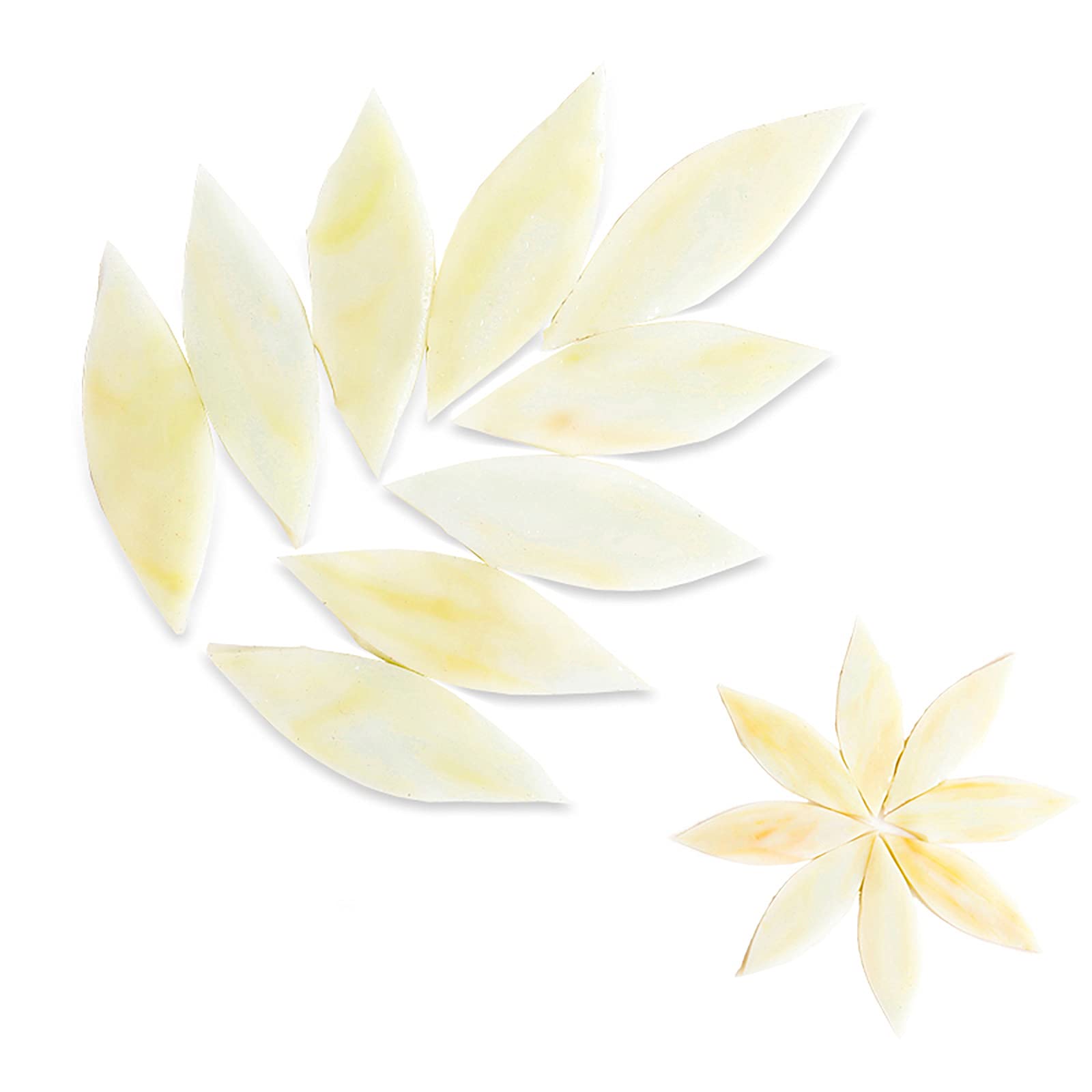 15-Piece Mosaic Tiles Kit (50g) - Natural Mica Stained Glass Petal & Leaf Tiles for DIY Crafts, Home Decor, Picture Frames & Flower Pots - 5x2cm Beige Decorative Tiles | Perfect for Scrapbooking, Jewelry Making & Wall Art Projects