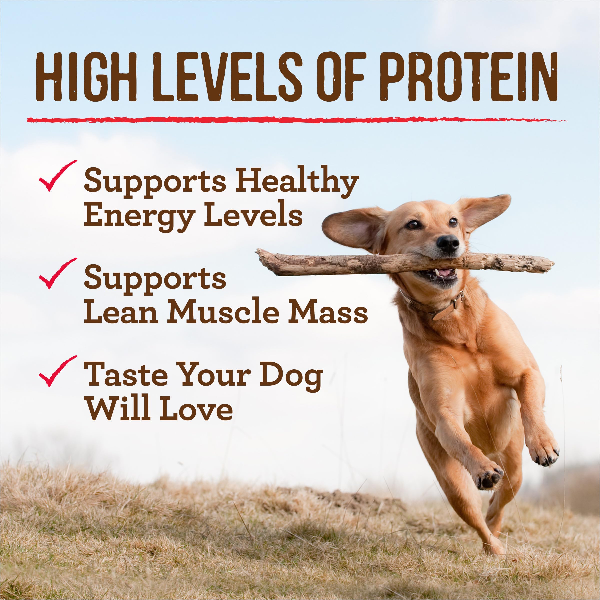 **Merrick Grain Free Wet Dog Food for Adults - Premium Gluten Free Canned Dog Food, Thanksgiving Dinner Flavor - 12 Pack (12.7 oz Cans) - Perfect for Holidays, Special Occasions & Daily Meals**