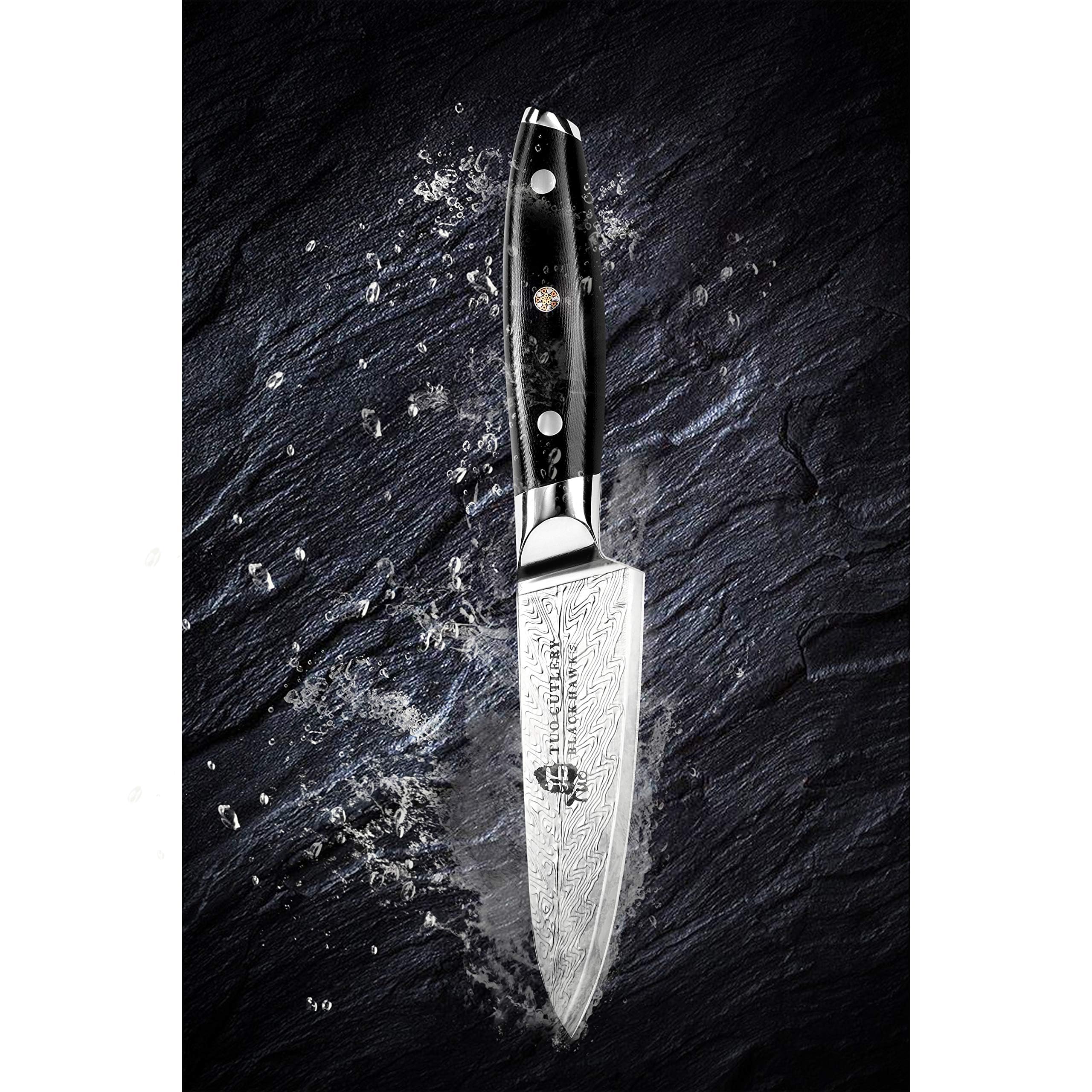 TUO 3.5-inch Ultra Sharp Paring Knife - High Carbon Stainless Steel Peeling Knife with G10 Full Tang Handle - Small Kitchen Utility Knife Set - Perfect for Fruit Peeling, Vegetable Slicing & Food Prep - Includes Gift Box (Black Hawk-S Series)