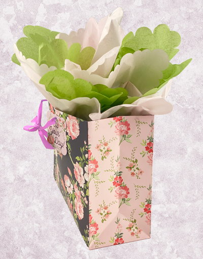 Premium Aubrey Gift Bags for Parties, Weddings & Events - Elegant & Durable Gift Packaging for All Occasions