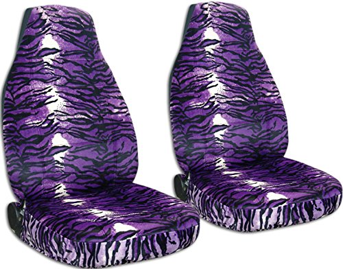 Purple Snow Tiger