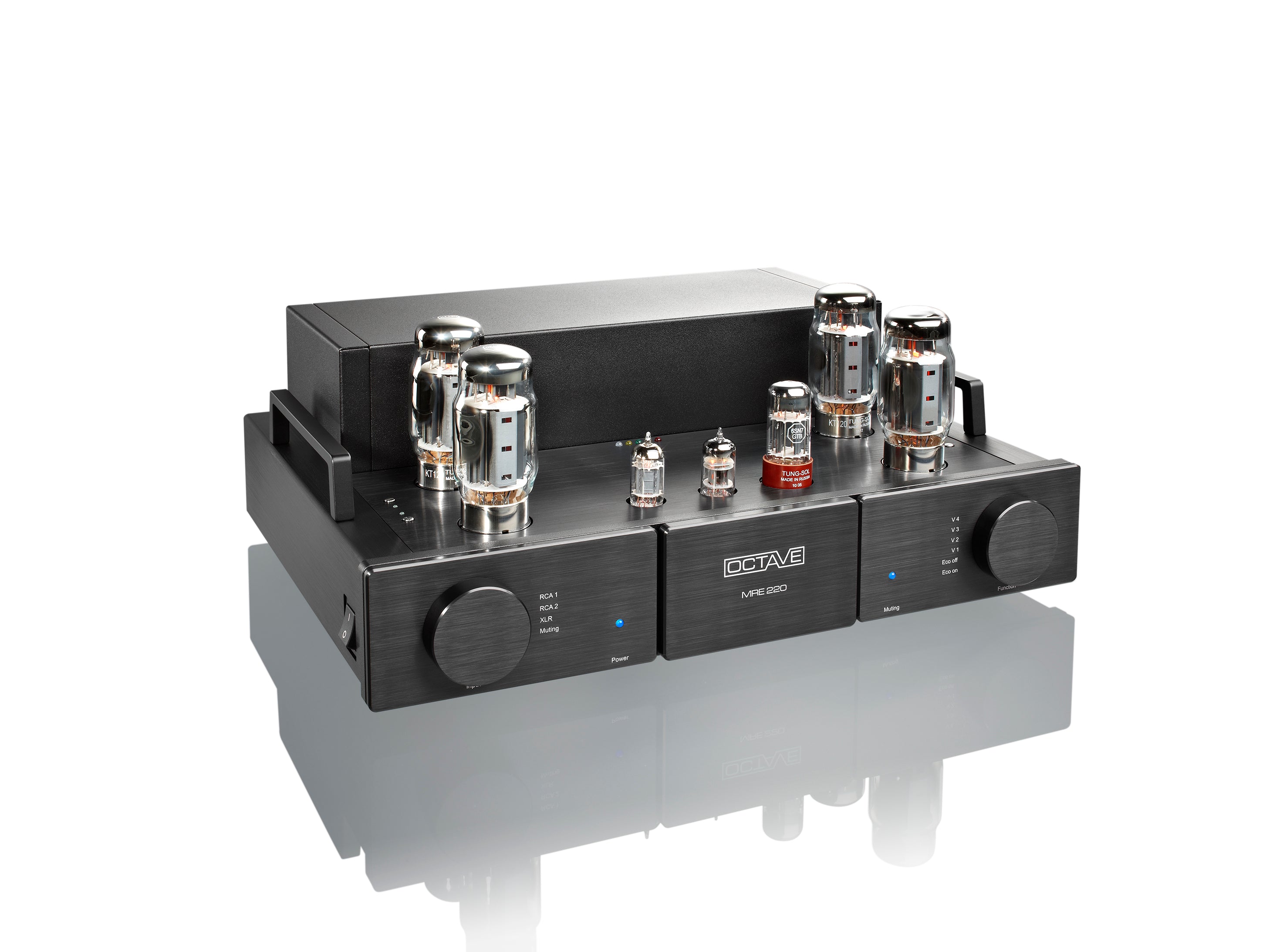 Octave MRE 220 Mono Power Amplifier (Pair) - High-End Audio Amplifier for Home Theater & Stereo Systems - Perfect for Audiophiles & Music Enthusiasts
