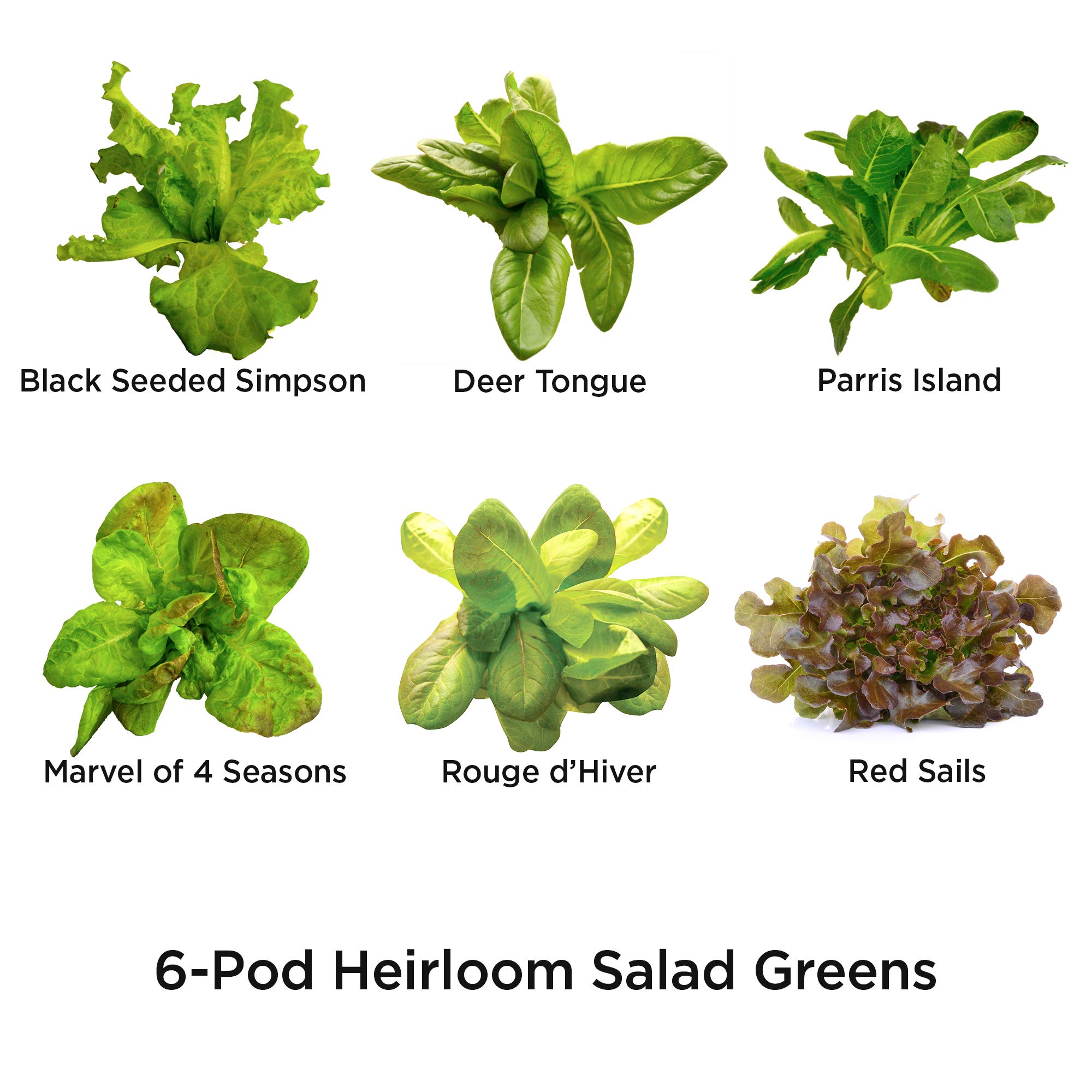 AeroGarden Harvest Elite LED Indoor Hydroponic Garden System with Heirloom Salad Greens Seed Pod Kit - Perfect for Home Gardening, Fresh Herbs & Vegetables Year-Round