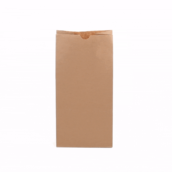 Premium Kraft Paper Bags 8 lb Capacity - 6 x 4 x 11.75 Inches - 100 Count Box - Eco-Friendly Shopping Bags for Retail, Grocery & Gift Packaging