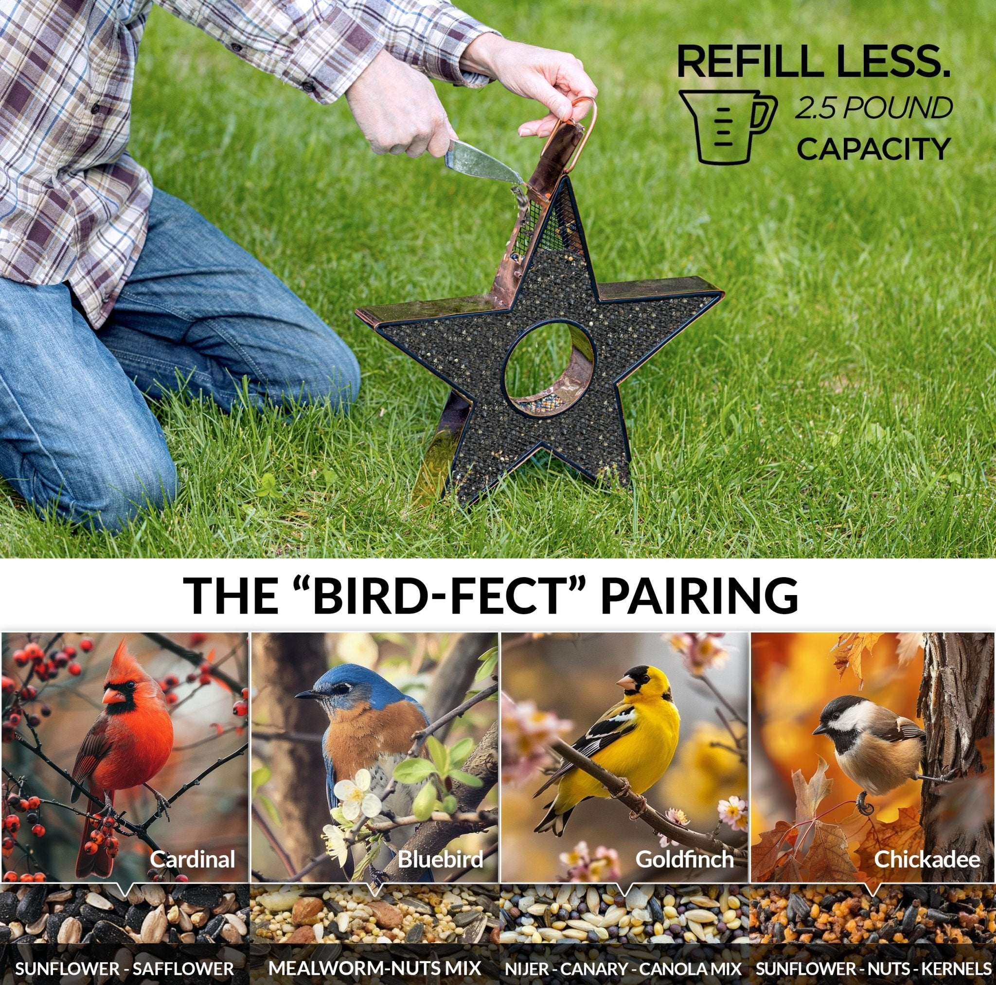 Star Fly Thru™ Copper Bird Feeder with Mesh Panels - Attract Wild Birds to Your Garden, Patio or Backyard - Perfect for Outdoor Bird Watching & Nature Lovers