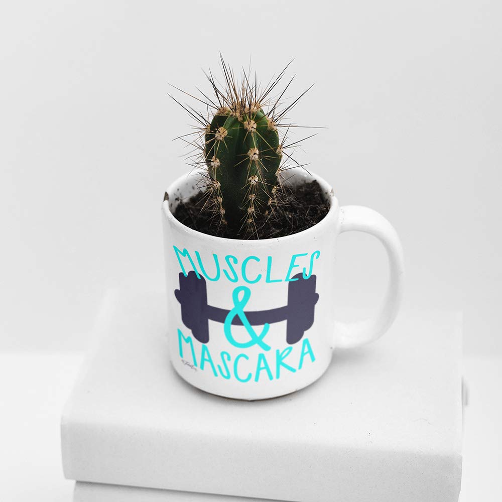 Twisted Envy Muscles & Mascara 11oz Funny Coffee Mug - Perfect Gift for Coworkers, Office Humor & Gym Lovers - Great for Coffee Breaks, Desk Decor & Gym Motivation