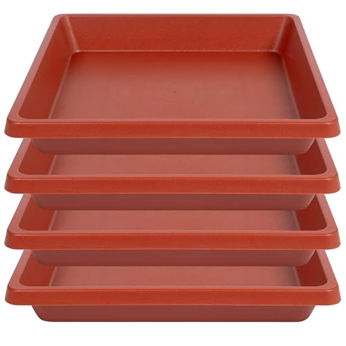 Terra Cotta