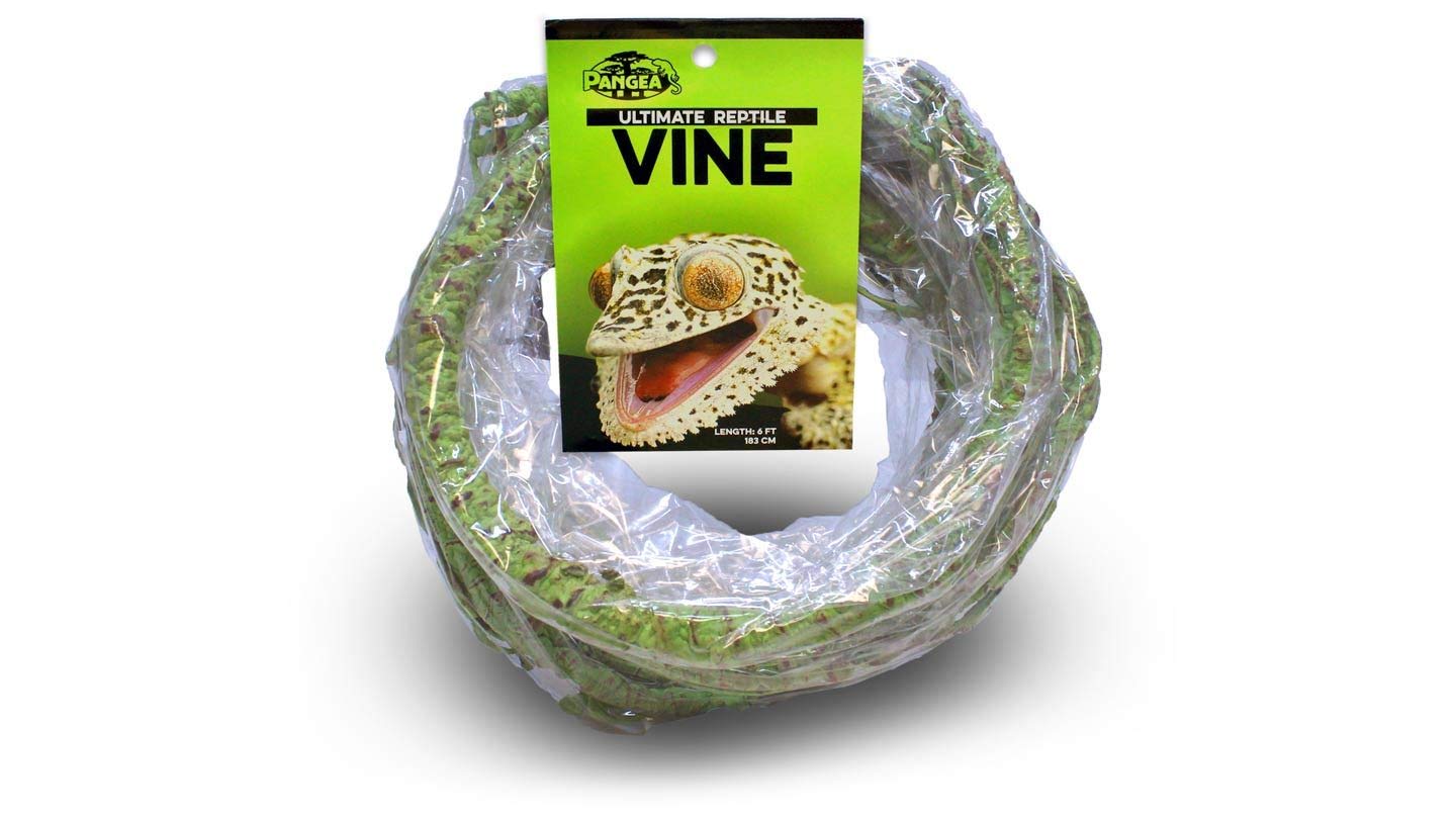 Pangea Reptile Ultimate Vine for Terrarium Habitat - Natural Green Climbing Branch for Lizards, Snakes & Geckos - Perfect for Jungle & Rainforest Terrarium Decor