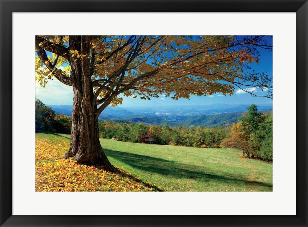 Blue Ridge Beauty by Mike Jones - Framed Art Print Wall Picture with Black Frame, 31 x 23 Inches - Perfect for Living Room, Bedroom & Office Decor