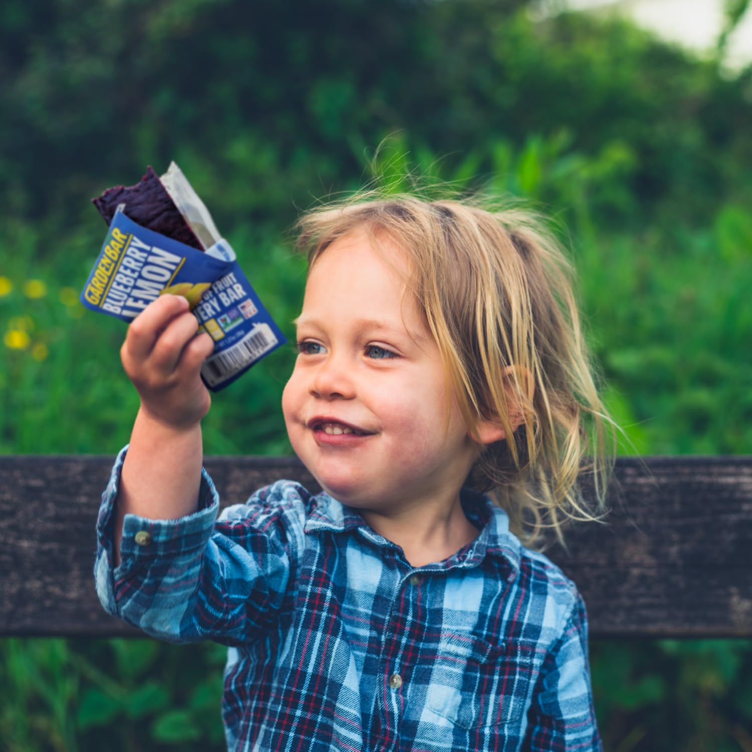 Organic Blueberry Lemon Fruit Leather Jerky | Healthy Vegan Snack, Gluten Free, Non-GMO, High Fiber | 6 Pack | Perfect for Hiking, Lunchboxes & On-the-Go Energy