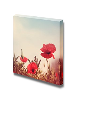 Poppy Flowers