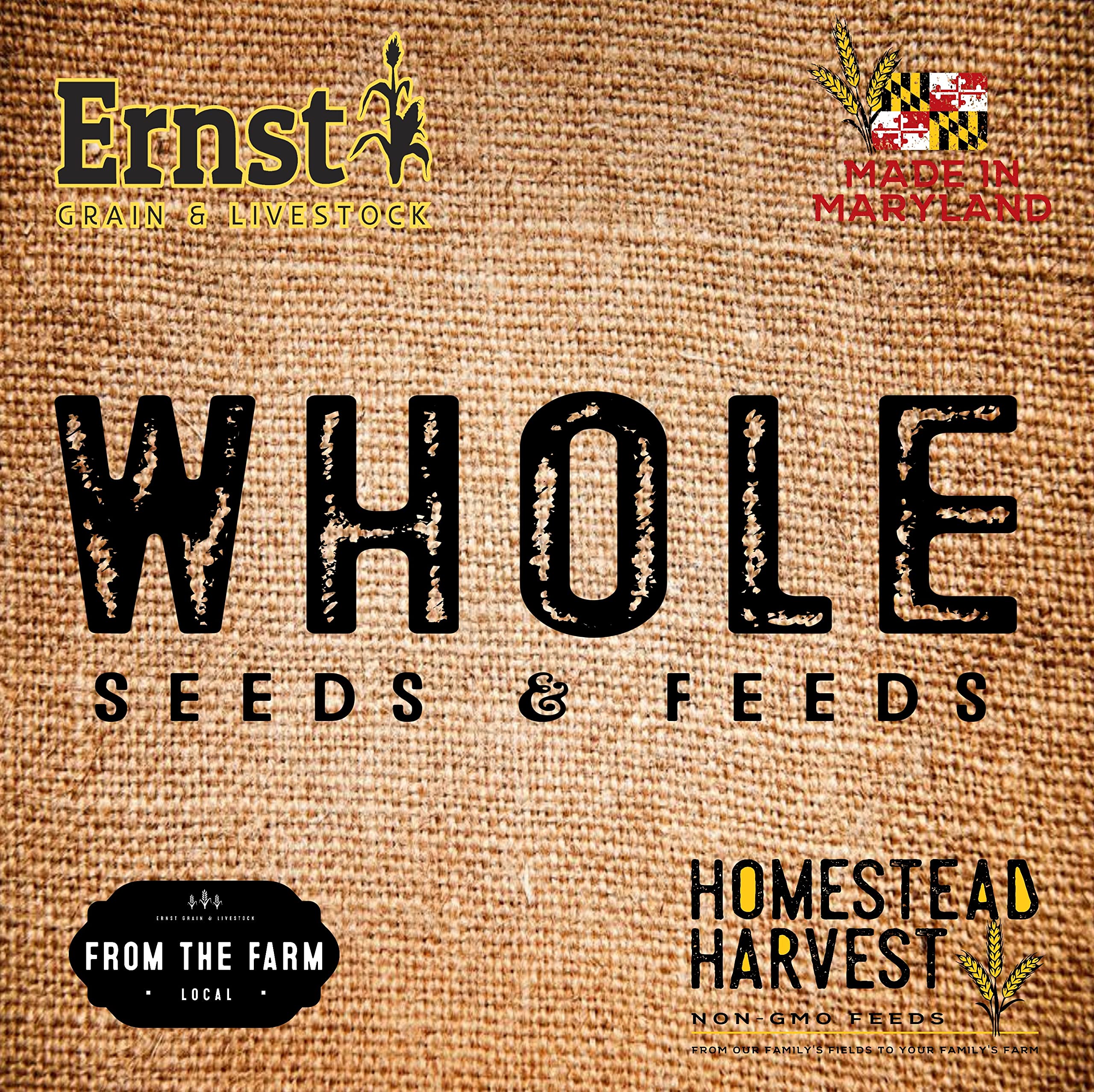 Premium Feed Grade Oats for Horses & Livestock - 50 lb Bag | High Protein Whole Grain Oats for Animal Nutrition, Farm & Stable Use