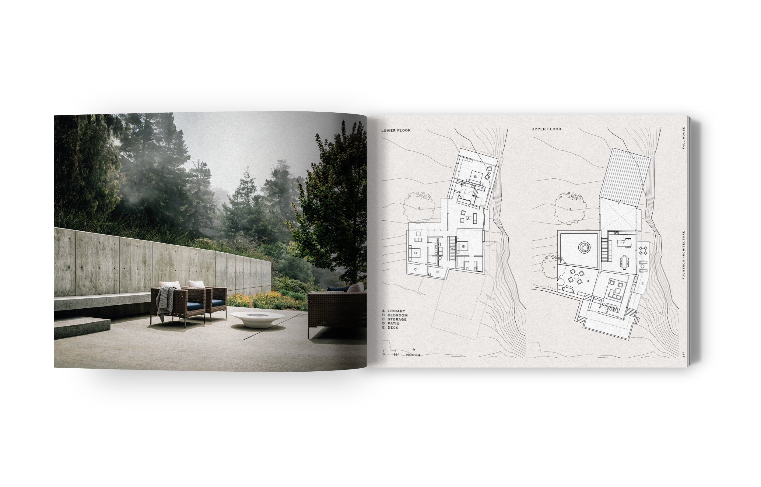 Fougeron Architecture: Framing Light - Modern Home Design & Natural Lighting Solutions for Living Rooms & Offices