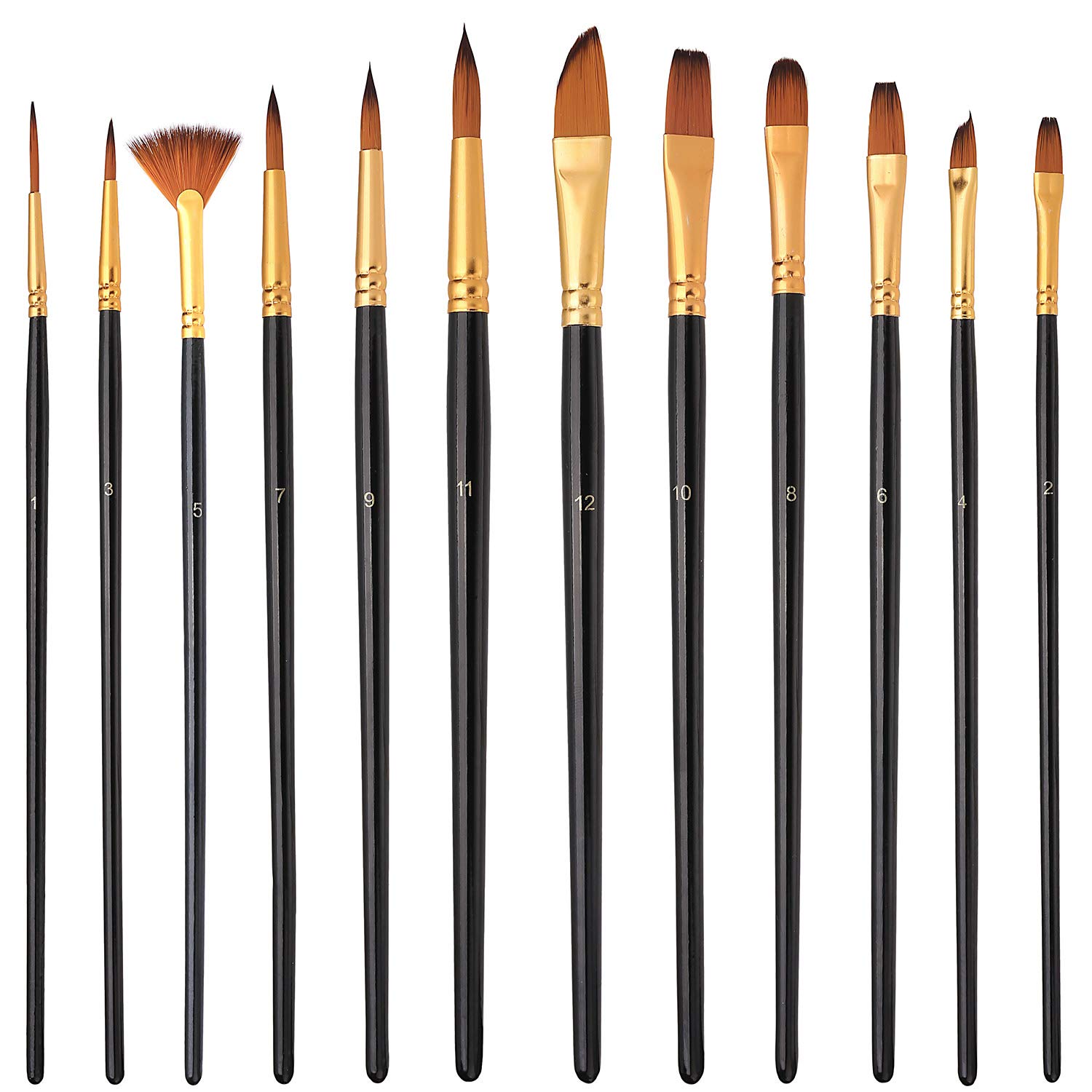 Elisel 12-Piece Professional Paint Brush Set for Acrylic, Oil & Watercolor Painting - Artist Quality Paintbrushes for Kids & Adults - Perfect for Canvas, Paper & DIY Art Projects (Black)