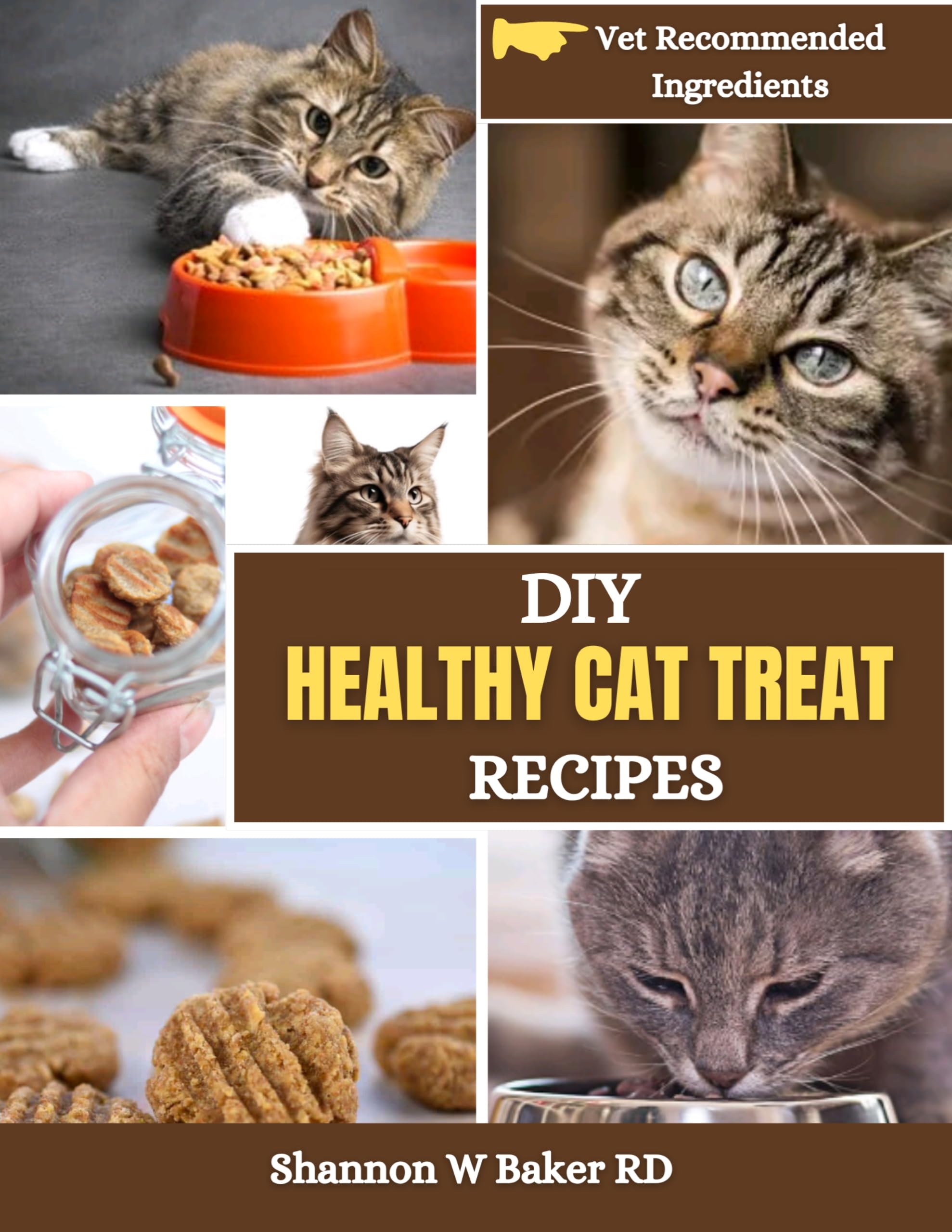 DIY Healthy Cat Treat Recipes: Vet-Approved Homemade Snacks for Your Feline Friend | Easy & Nutritious Cat Food Ideas for Training, Rewards & Special Occasions