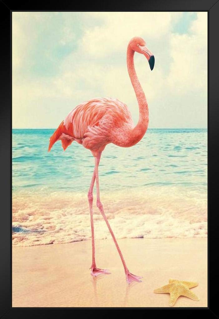 Flamingo on Beach with Starfish Print - Pink Flamingo Wall Art Decor for Bathroom, Living Room & Bedroom - Tropical Wildlife Poster with Wood Frame (9x13 inches) - Perfect for Coastal, Beach Theme Home Decor