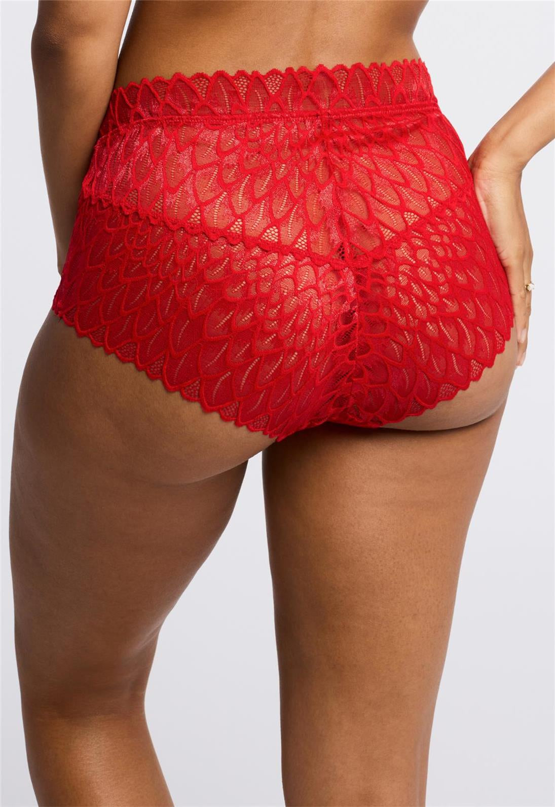 Lace High Waist Briefs for Women - Comfortable Cotton Underwear with Stretch - Perfect for Everyday Wear, Workout & Sleep