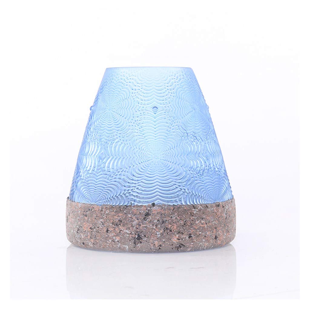 FABAX Modern Minimalist Glass Vase for Hydroponics - Small Clear Flower Vase for Living Room Table, Desk Decor, Home Decor, Wedding Gift & Plant Lover Present - Perfect for Fresh Flowers, Succulents, and Home Office Decorations