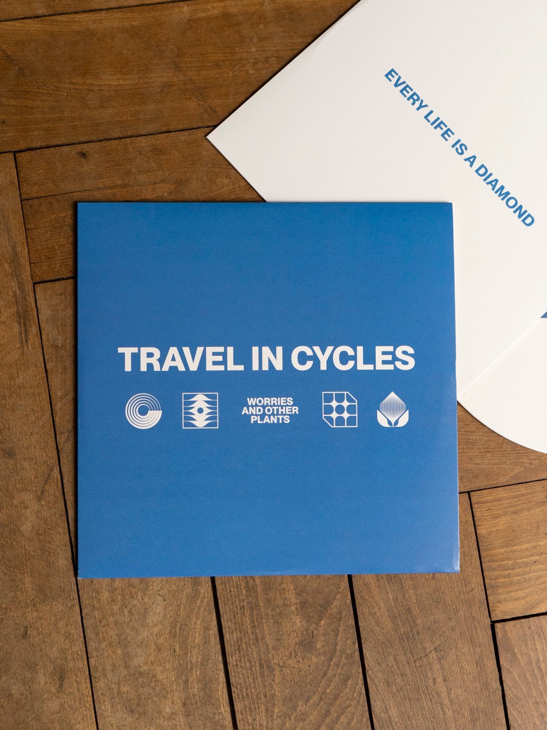 Vinyl Record: Worries And Other Plants – Travel In Cycles LP | Alternative Rock Music Album for Home Listening & Vinyl Collection | Perfect for Relaxing Evenings & Music Enthusiasts