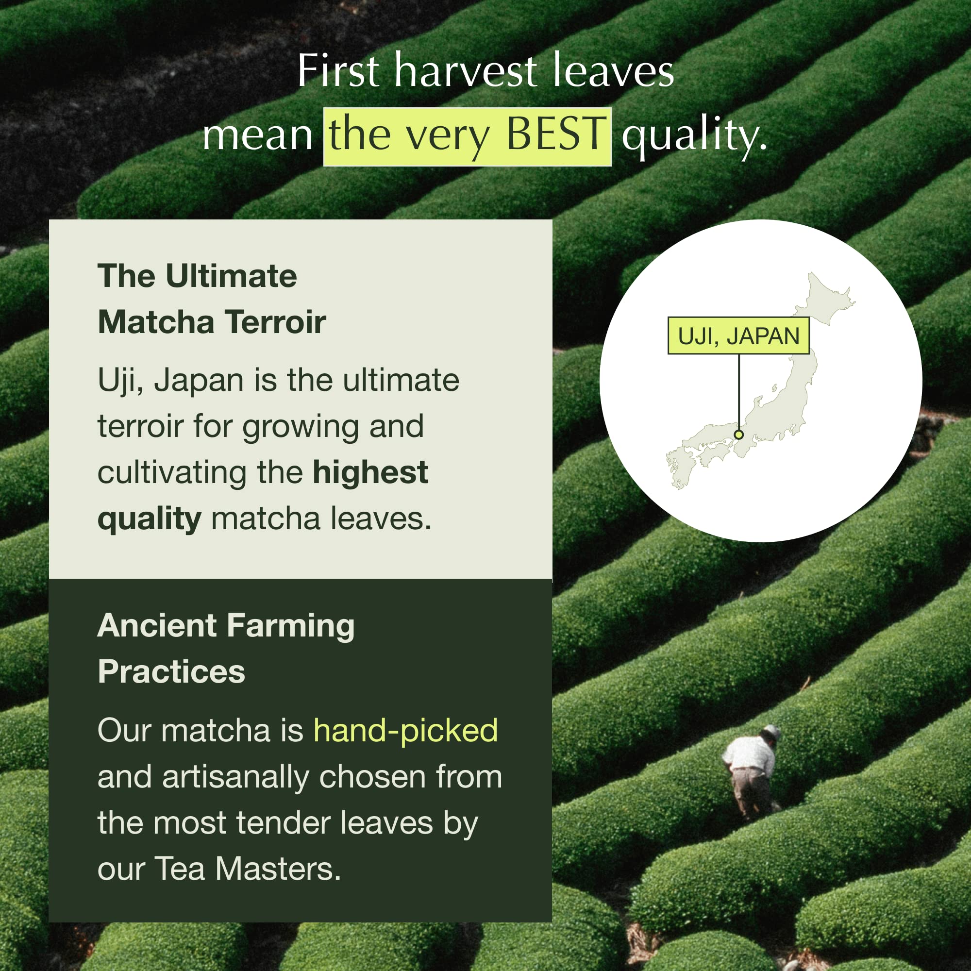 Encha Latte Grade Matcha - First Harvest Organic Unsweetened Green Tea Powder from Uji, Japan (500g / 1lb) | Premium Ceremonial Grade for Lattes, Smoothies, Baking & Tea | Rich in Antioxidants, Caffeine & L-Theanine | Energy Boost & Relaxation