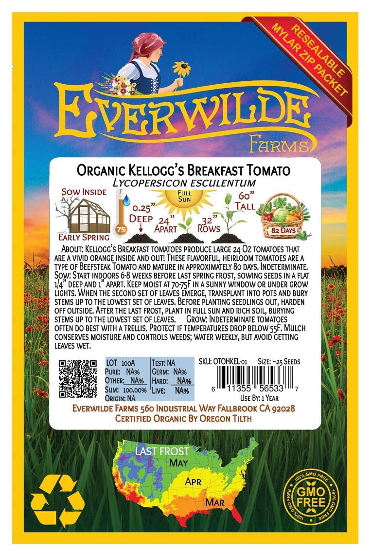 Organic Kellogg's Breakfast Heirloom Tomato Seeds - 25 Count - Non-GMO, Open-Pollinated - Perfect for Home Gardens, Canning & Fresh Eating - Gold Vault Packet by Everwilde Farms