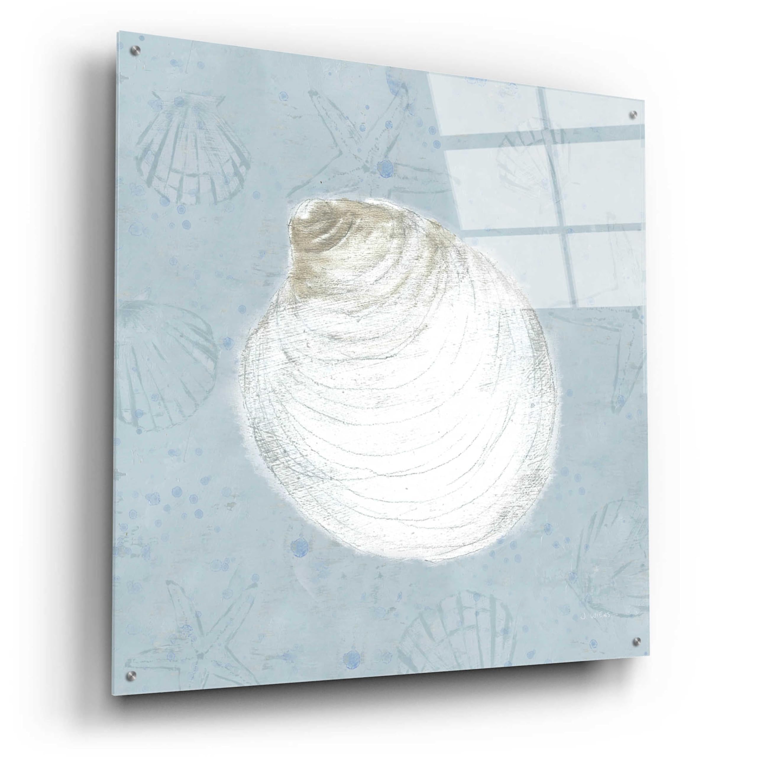 Serene Shells II by James Wiens - 36x36 Inch Acrylic Glass Wall Art Painting, Modern Coastal Home Decor for Living Room, Bedroom & Office