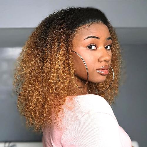 Ombre T1B/30