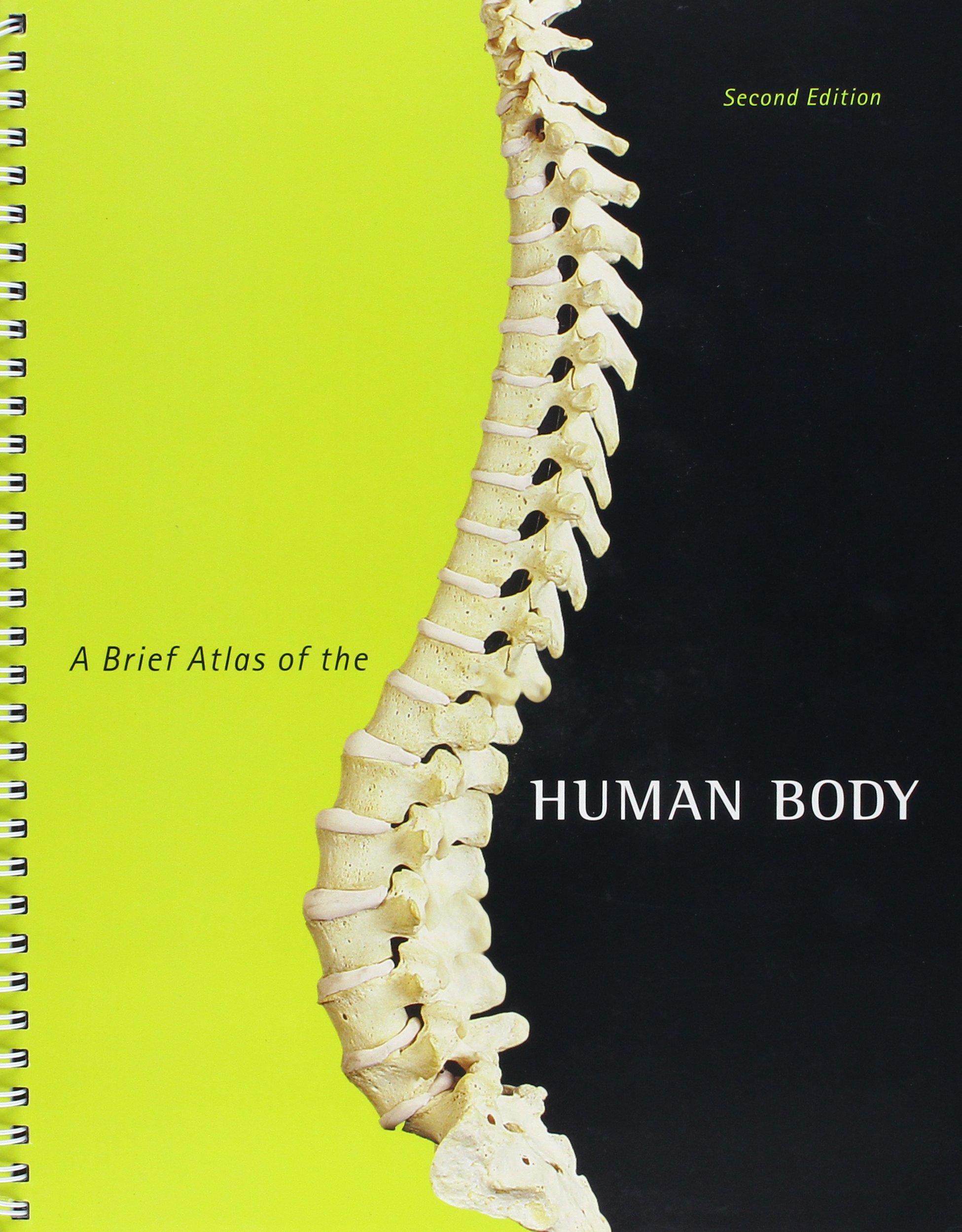 Human Body Atlas - Detailed Anatomy Guide for Students & Medical Professionals | Perfect for Study, Reference & Education