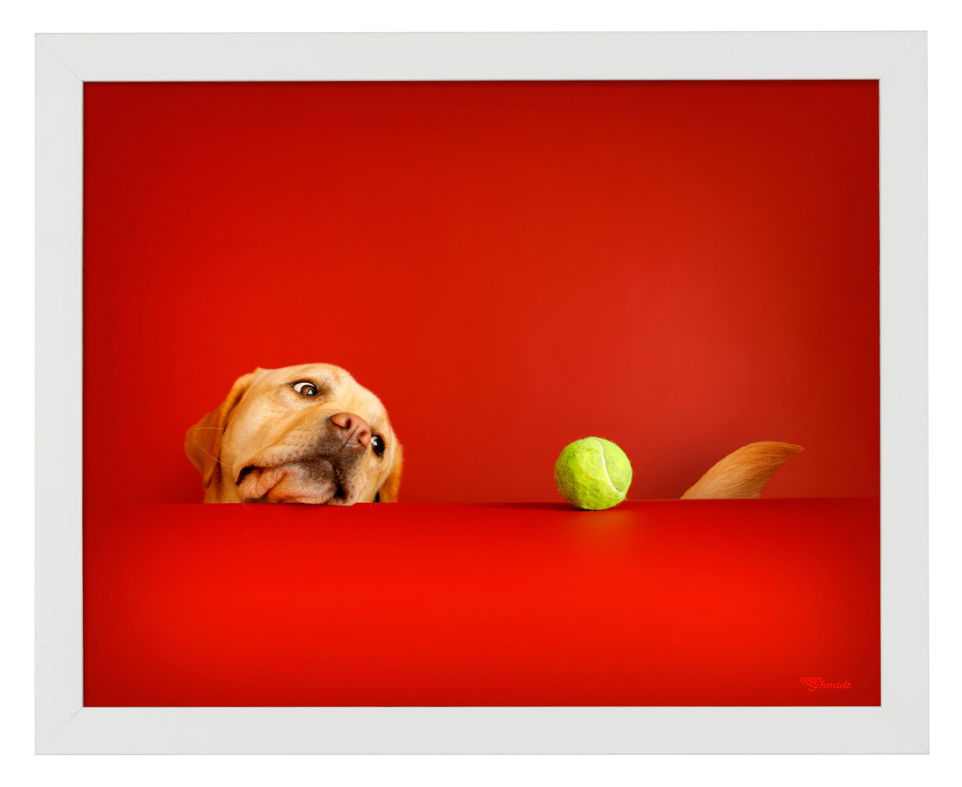 Crimson Art Prints - High-Quality Wall Decor for Home & Office | Perfect for Living Room, Bedroom & Gifts