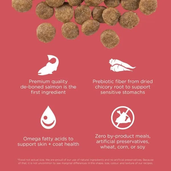 Go! Solutions Sensitivities Limited Ingredient Grain-Free Salmon Recipe Dry Dog Food - Hypoallergenic & Digestive Support for Dogs with Food Allergies - Perfect for Sensitive Stomachs & Skin Issues