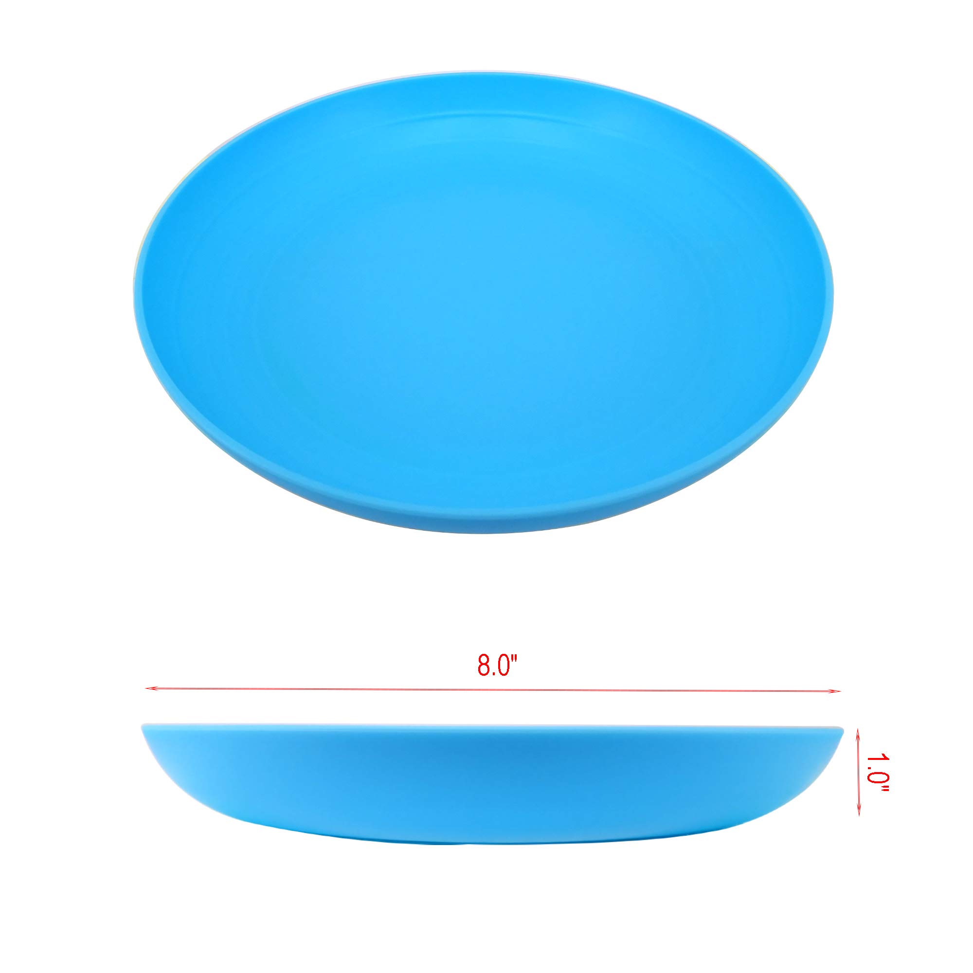AOYITE 8 Inch Reusable Plastic Plates Set of 6 - Unbreakable BPA-Free Dinner Plates, Dishwasher & Microwave Safe for Kids, Kitchen, Party, Camping & Outdoor Picnics