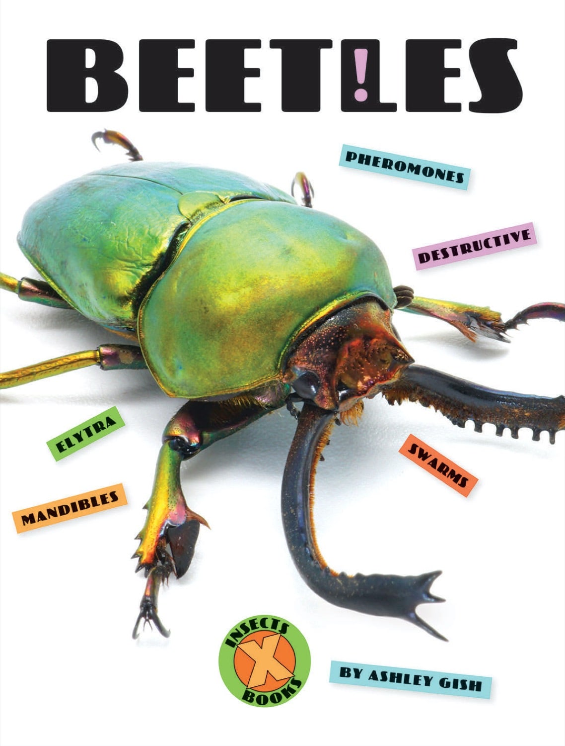 Beetles 978-1-60818-988-5 - Insect Encyclopedia & Field Guide for Nature Lovers, Students & Researchers - Perfect for Outdoor Exploration, Science Projects & Bug Identification
