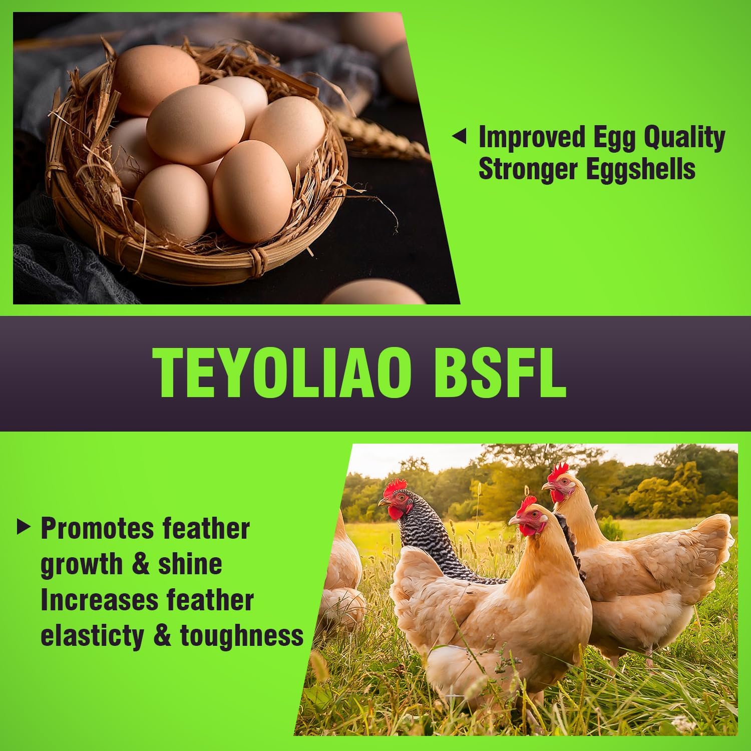 Premium Dried Black Soldier Fly Larvae (5LB) - 100% Natural Non-GMO High Protein Chicken Feed | Organic BSFL Chicken Food with More Calcium Than Mealworms | Perfect for Poultry, Birds & Ducks | Ideal for Backyard Chickens, Wild Bird Treats & Duck Feeding
