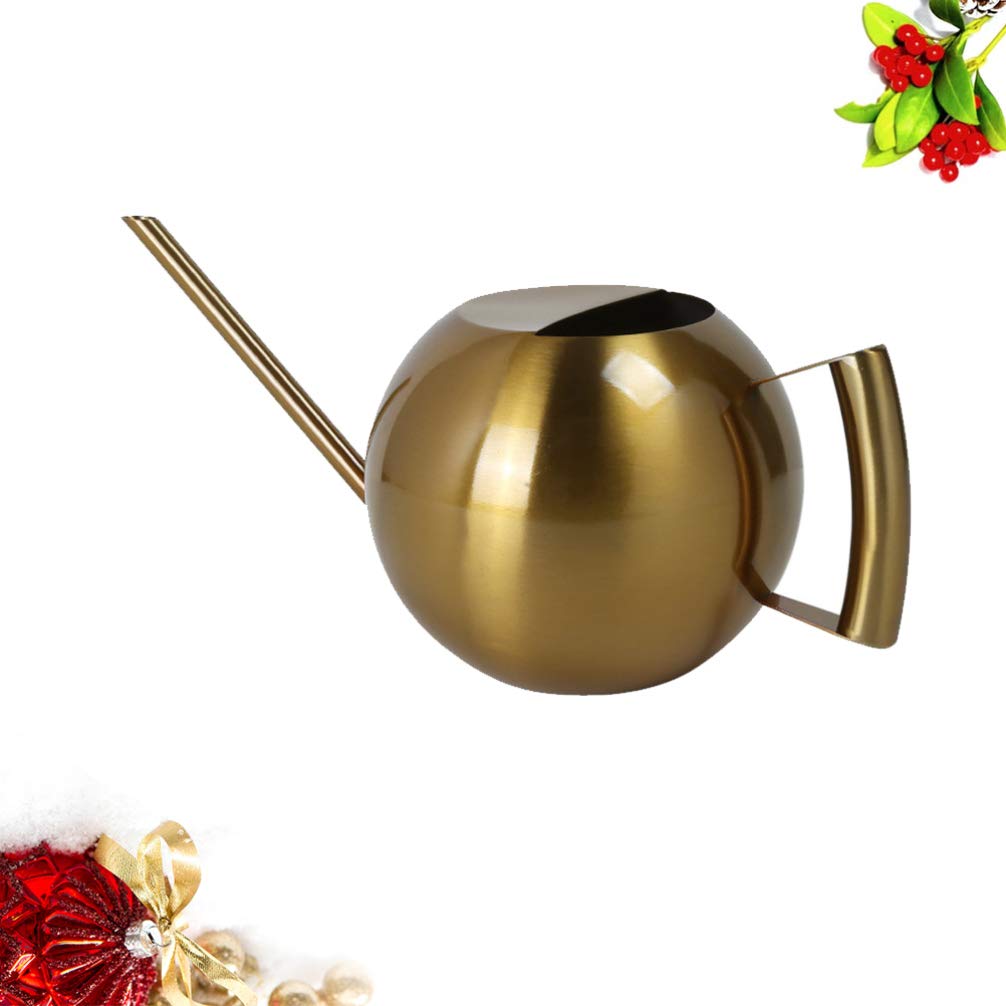 DOITOOL Stainless Steel Watering Can for Plants - 1L Metal Watering Pot with Long Spout, Indoor/Outdoor Plant Watering Kettle for Garden, Flowers, Bonsai, Houseplants - Perfect for Gentle Watering & Cleaning