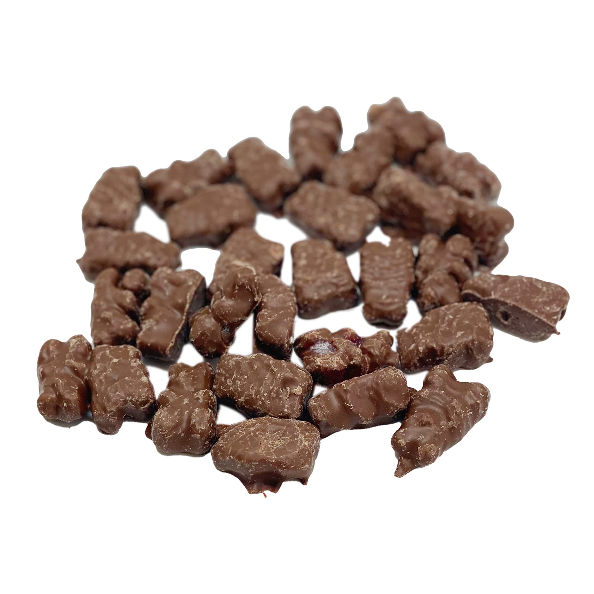 1lb Milk Chocolate Covered Gummi Bears - Resealable Stand Up Candy Bag with Assorted Flavors | Bulk Party Candy for Holidays, Birthdays & Special Events | Perfect for Halloween Treats, Christmas Stockings & Birthday Party Favors