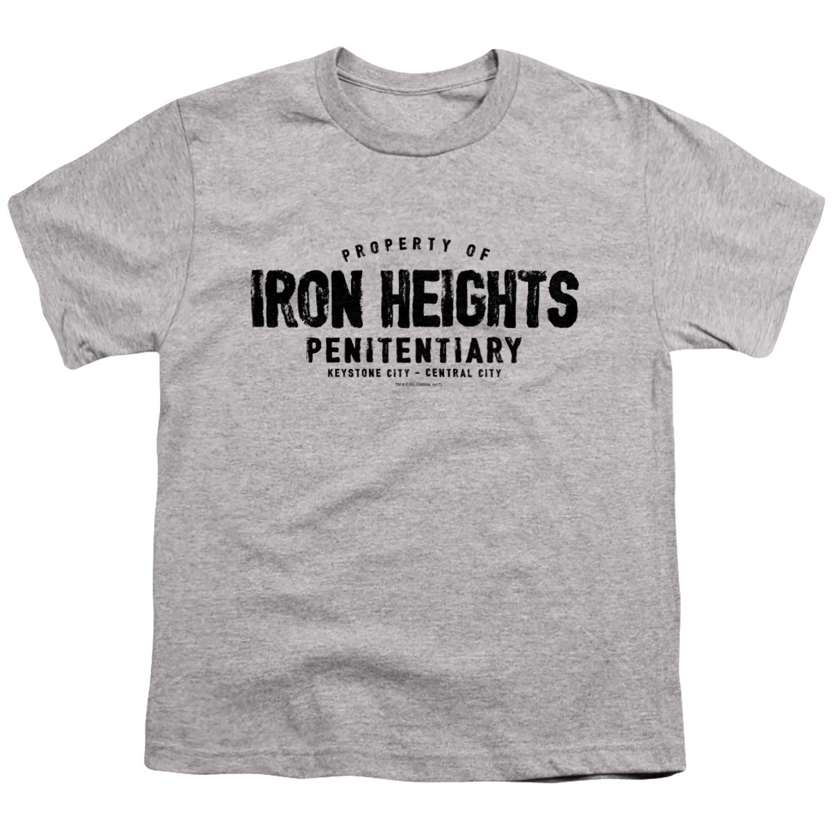 JLA Iron Heights Unisex Youth T-Shirt | DC Comics Superhero Graphic Tee | Casual Wear for Kids & Teens | Perfect for School, Parties & Superhero Fans
