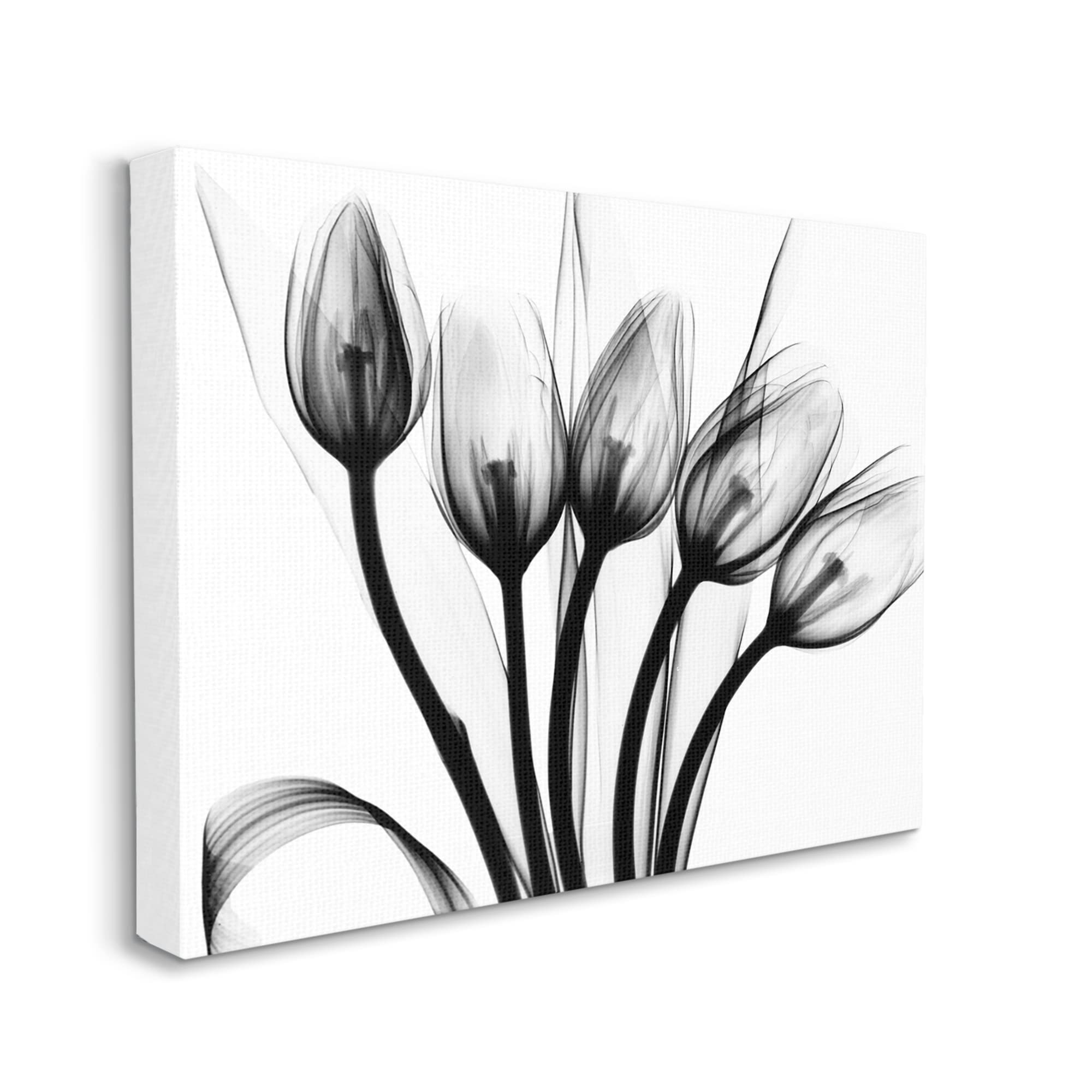 Stupell Industries Modern Tulip Blossom Abstract Monochrome Silhouette Wall Art - Albert Koetsier Photography - Minimalist Home Decor for Living Room, Bedroom & Office