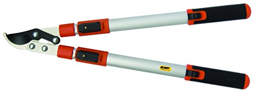 Professional Garden Pruning Shears - Sharp Stainless Steel Bypass Pruning Scissors for Plants, Flowers, and Herbs - Perfect for Gardening, Landscaping, and Indoor Plant Care