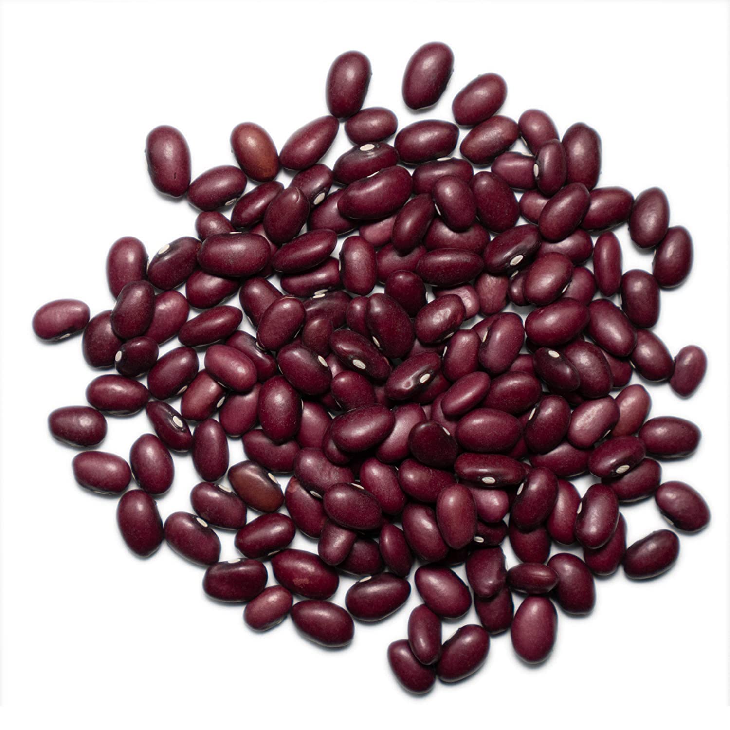 1000 SPRINGS MILL - Organic Red Beans 25lb Bulk Bag | Premium Quality Dry Red Beans for Soups, Salads, Chili & Desserts | Vegan & Gluten-Free | Perfect for Home Cooking, Meal Prep & Restaurant Use | 25 Pound Bulk Pack