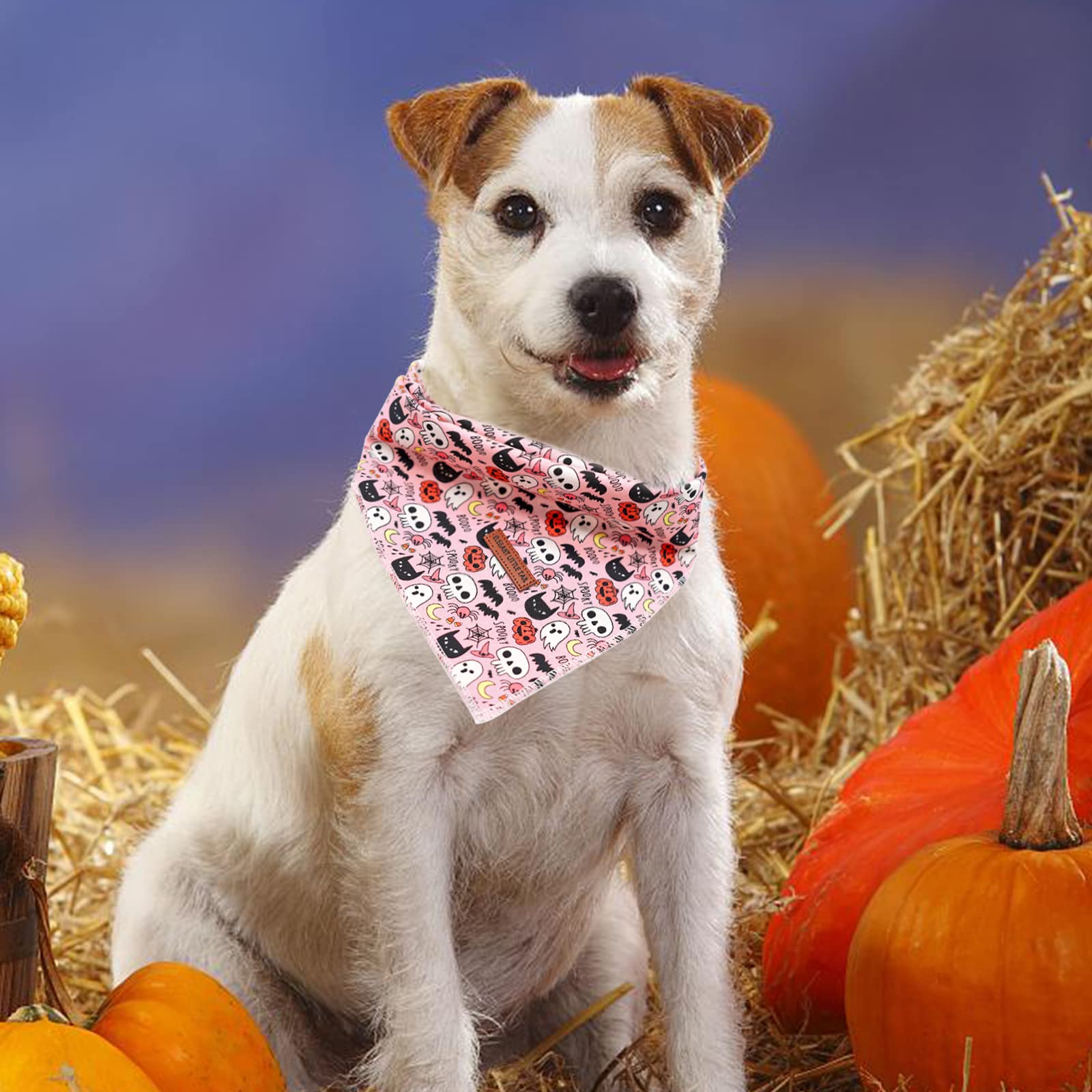 Halloween Pumpkin Dog Bandana for Small Medium Large Dogs - Adjustable Washable Square Dog Scarf for Boys & Girls - Perfect for Costume Parties, Trick or Treating & Seasonal Photos