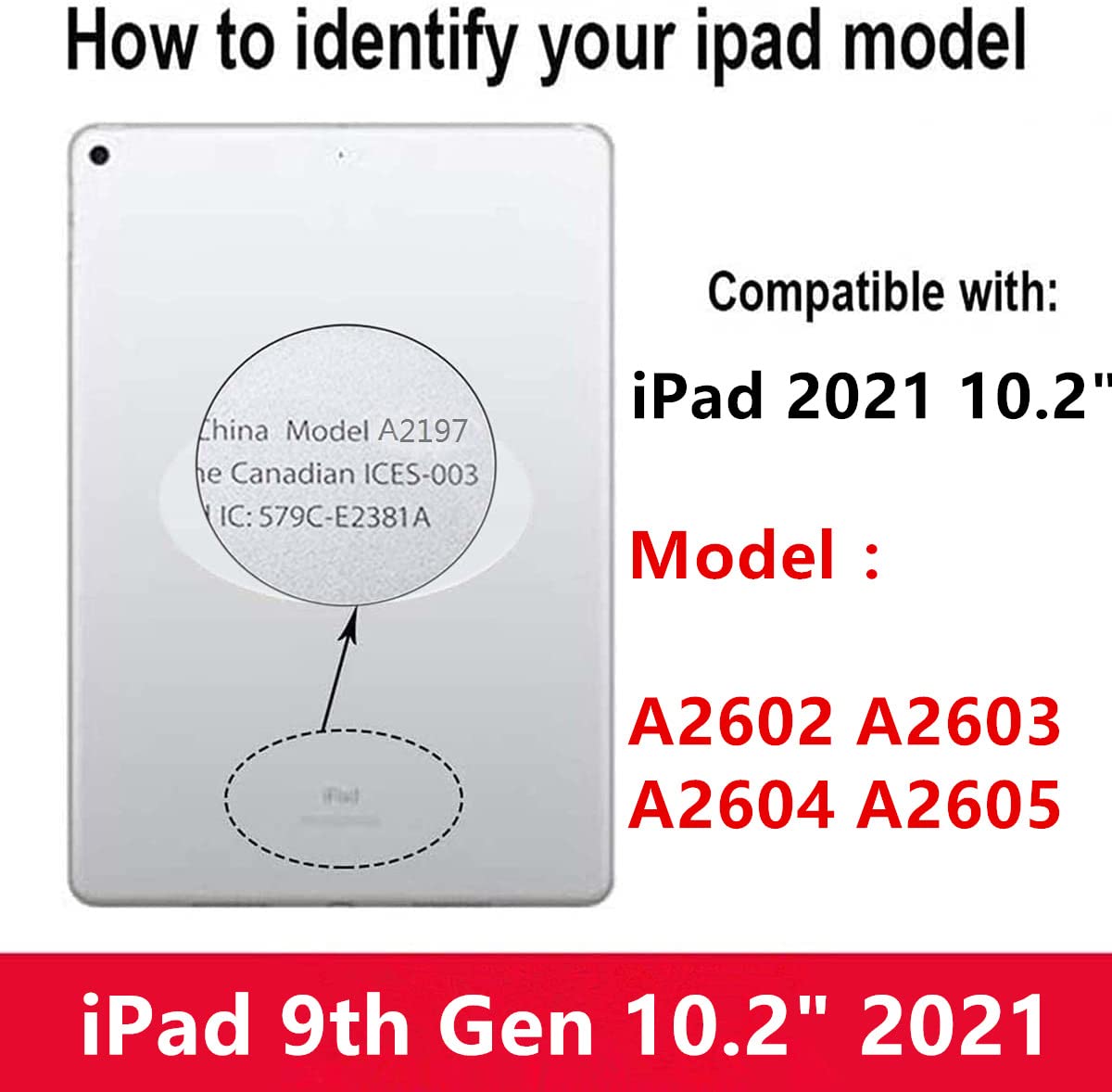 iPad 9th Generation 10.2